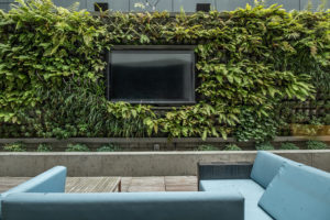 Outdoor lounge for watching games, complete with a living wall.